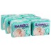 Buy online Sensitive Skin Diapers by Bambo Nature