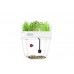 Buy online classic Quality Herb Aquarium starter Kit in Pakistan 