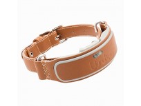 Buy online Import Quality Dog Collar with Location Tracker in Pakistan 