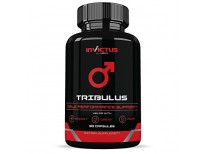 Buy Invictus Labs Tribulus Terrestris Supplement for Men and Women Online in Pakistan