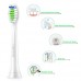 Buy Power Up Electric Toothbrush Handle by Guhiwuk Heads Replacement for Philips sale in Pakistan