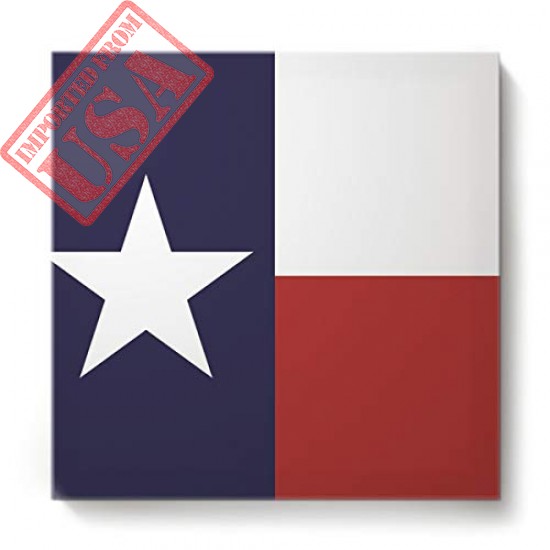 EZON-CH Canvas Wall Art Square Oil Painting Modern Artworks Office Home Decor,The Flag of State of Texas Blue Red White Canvas Artworks,Stretched by Wooden Frame,Ready to Hang,16 x 16 Inch