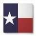 EZON-CH Canvas Wall Art Square Oil Painting Modern Artworks Office Home Decor,The Flag of State of Texas Blue Red White Canvas Artworks,Stretched by Wooden Frame,Ready to Hang,16 x 16 Inch